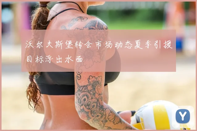 沃尔夫斯堡转会市场动态夏季引援目标浮出水面